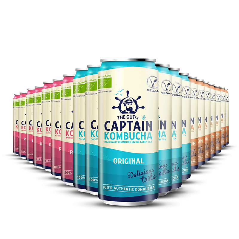 GUTsy Captain Kombucha - balení plechovek s více příchutěmi 20 x 250ml