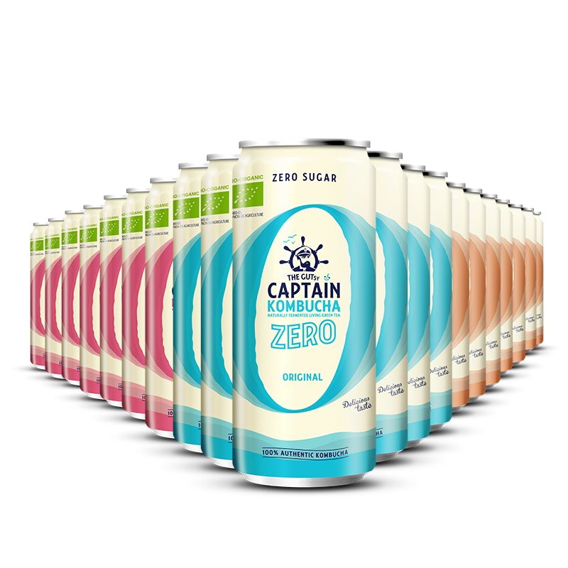 GUTsy Captain Kombucha Zero - balení plechovek s více příchutěmi 20 x 250ml